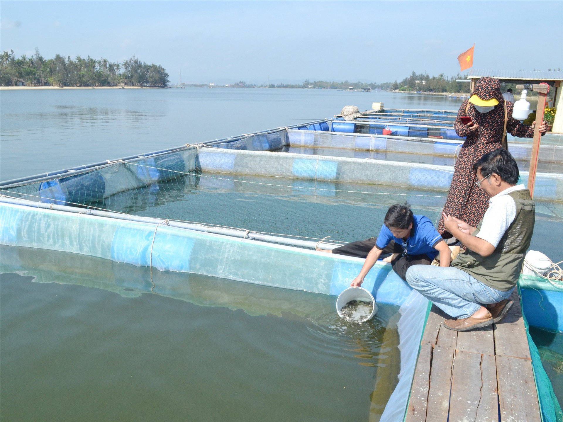 Trung tâm Khuyến nông tỉnh hỗ trợ giống cá chim vây vàng giúp hộ ông Trần Văn Đức nuôi cá ở ven biển An Hòa. Ảnh: VIỆT NGUYỄN