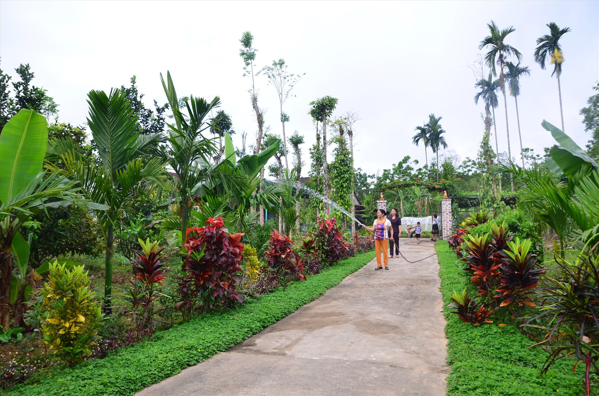 Mô hình “Nhà sạch, vườn đẹp” của bà Phan Thị Để tại thôn 4, xã Tiên Lập (Tiên Phước). Ảnh: HOÀNG HƯNG