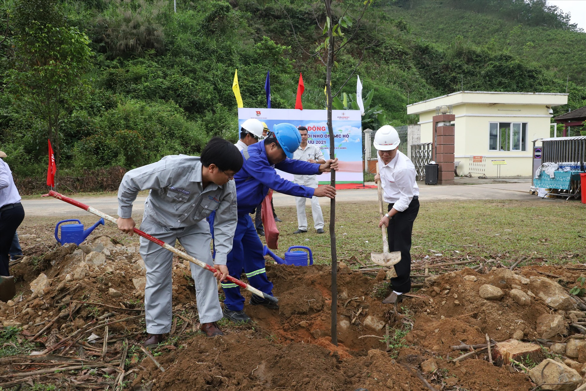 Lãnh đạo Công ty Thủy điện Sông Tranh tham gia trồng cây.