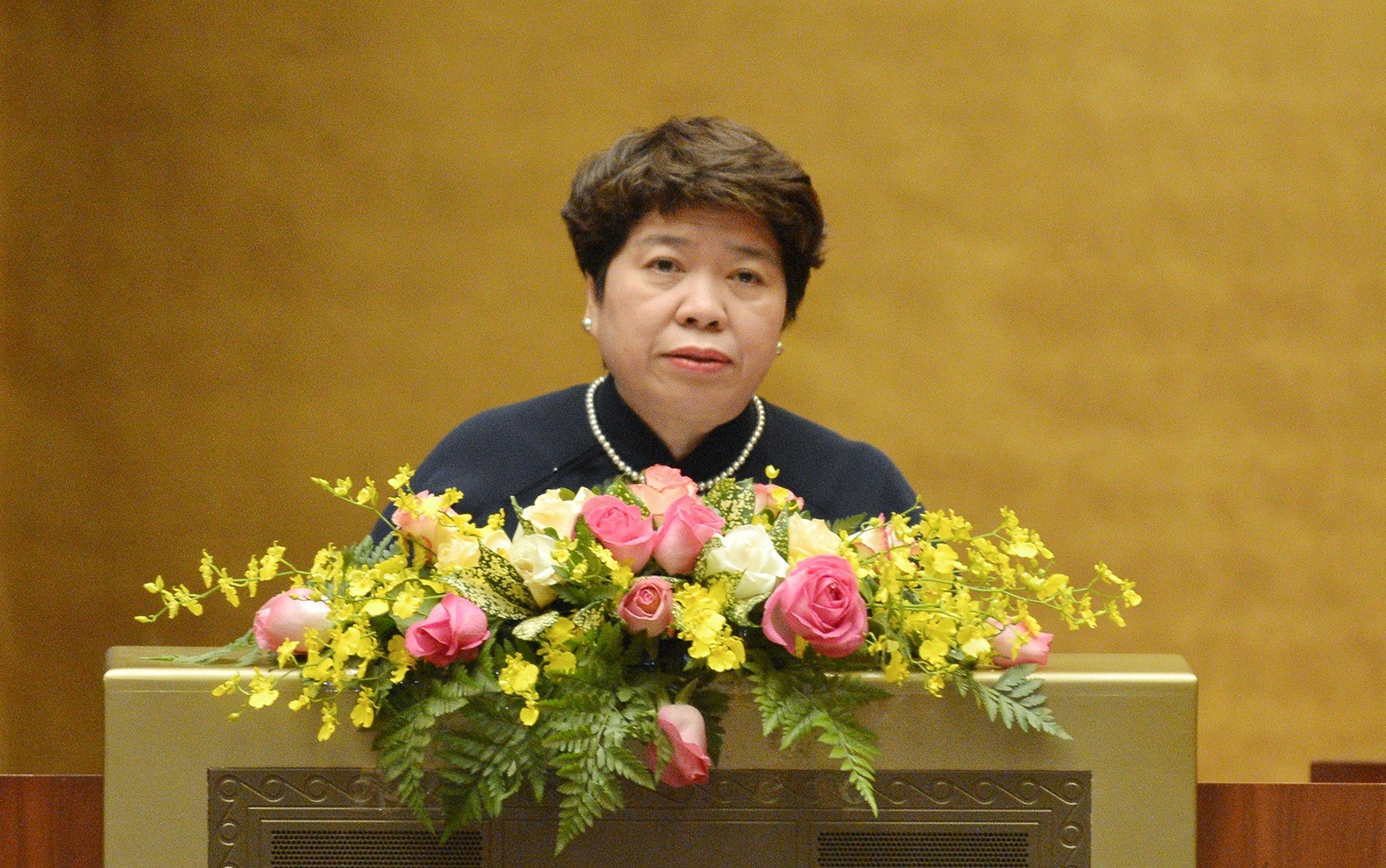 Chủ nhiệm Ủy ban Về các vấn đề xã hội của Quốc hội Nguyễn Thúy Anh.