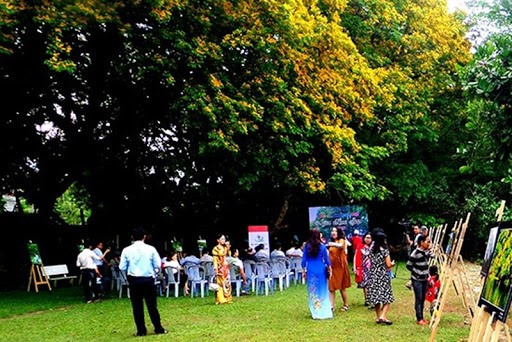 A corner of Vườn Cừa (tamky.gov.vn)