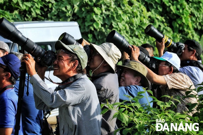 Ngoài đam mê săn ảnh, các nhiếp ảnh gia thành phố còn chung tay bảo vệ sinh thái bán đảo Sơn Trà.  Trong ảnh: Các nhiếp ảnh gia “săn” ảnh voọc chà vá chân nâu ở bán đảo Sơn Trà. Ảnh: Bùi Thanh Lang