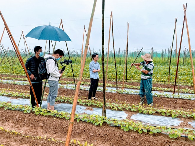 Nhóm “Chuyện Đại Lộc” ghi hình làng rau Bàu Tròn. (Ảnh do nhân vật cung cấp)