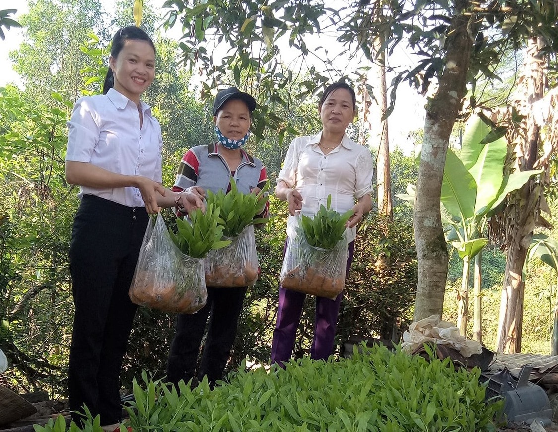 Hội LHPN xã Bình Sơn trao sinh kế cho hội viên có hoàn cảnh khó khăn. Ảnh: CTV