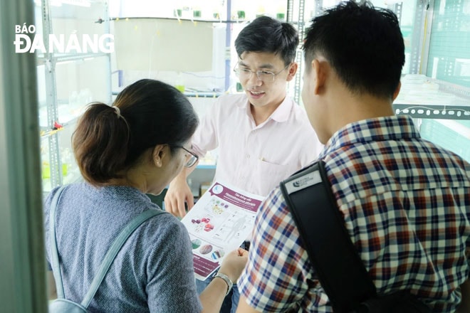 Nhóm nghiên cứu AlgaeVi trao đổi về cách đưa sản phẩm đến người tiêu dùng. Ảnh: PHONG LAN