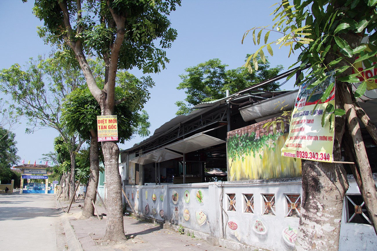 Hàng cây xanh trước cổng vào trường THCS Nguyễn Du cũng bị quảng cáo “rác” làm phiền.