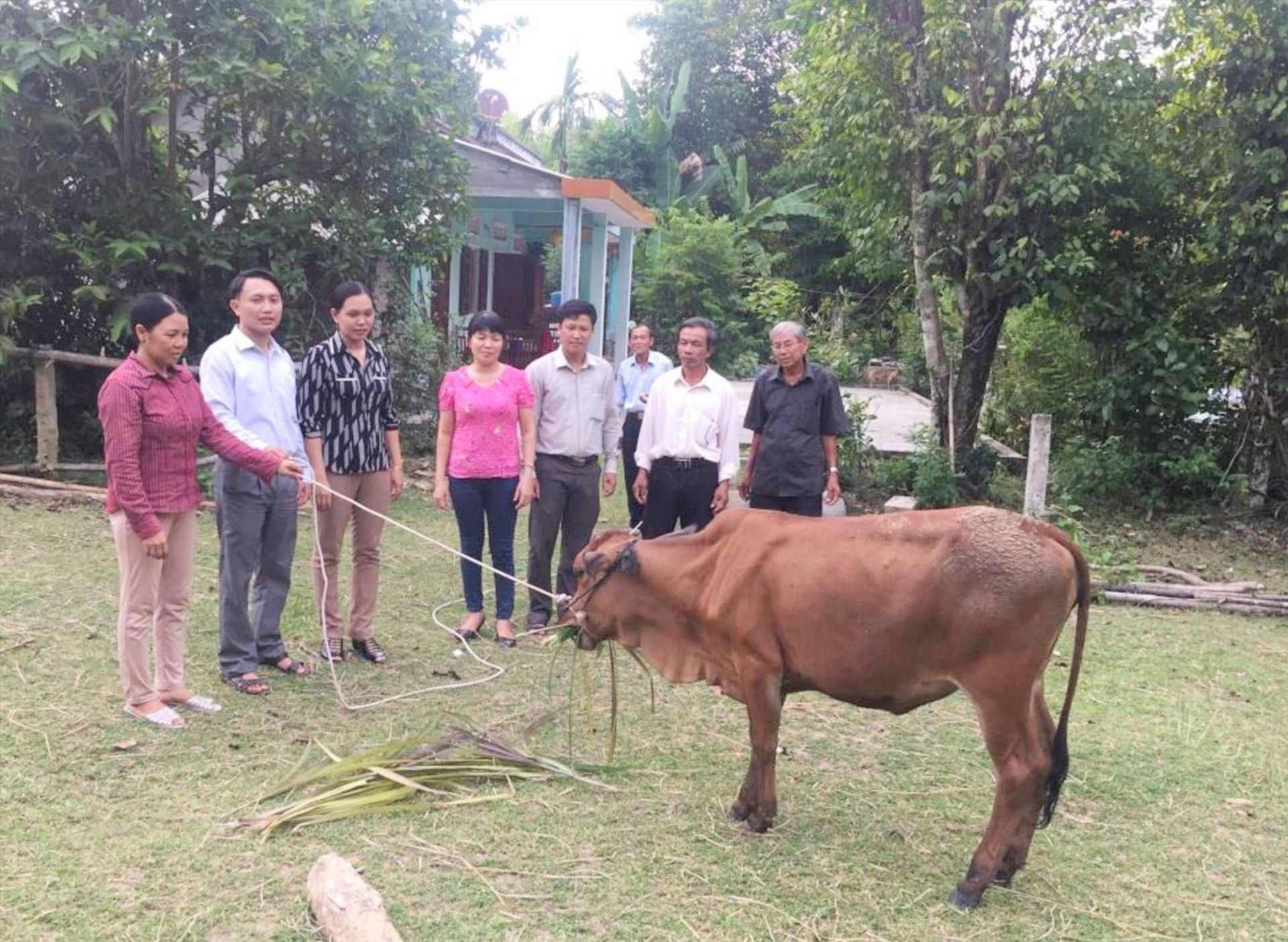 Hội LHPN xã Tam Thái phối hợp tặng bò giống cho hội viên phụ nữ nghèo. Ảnh: CTV
