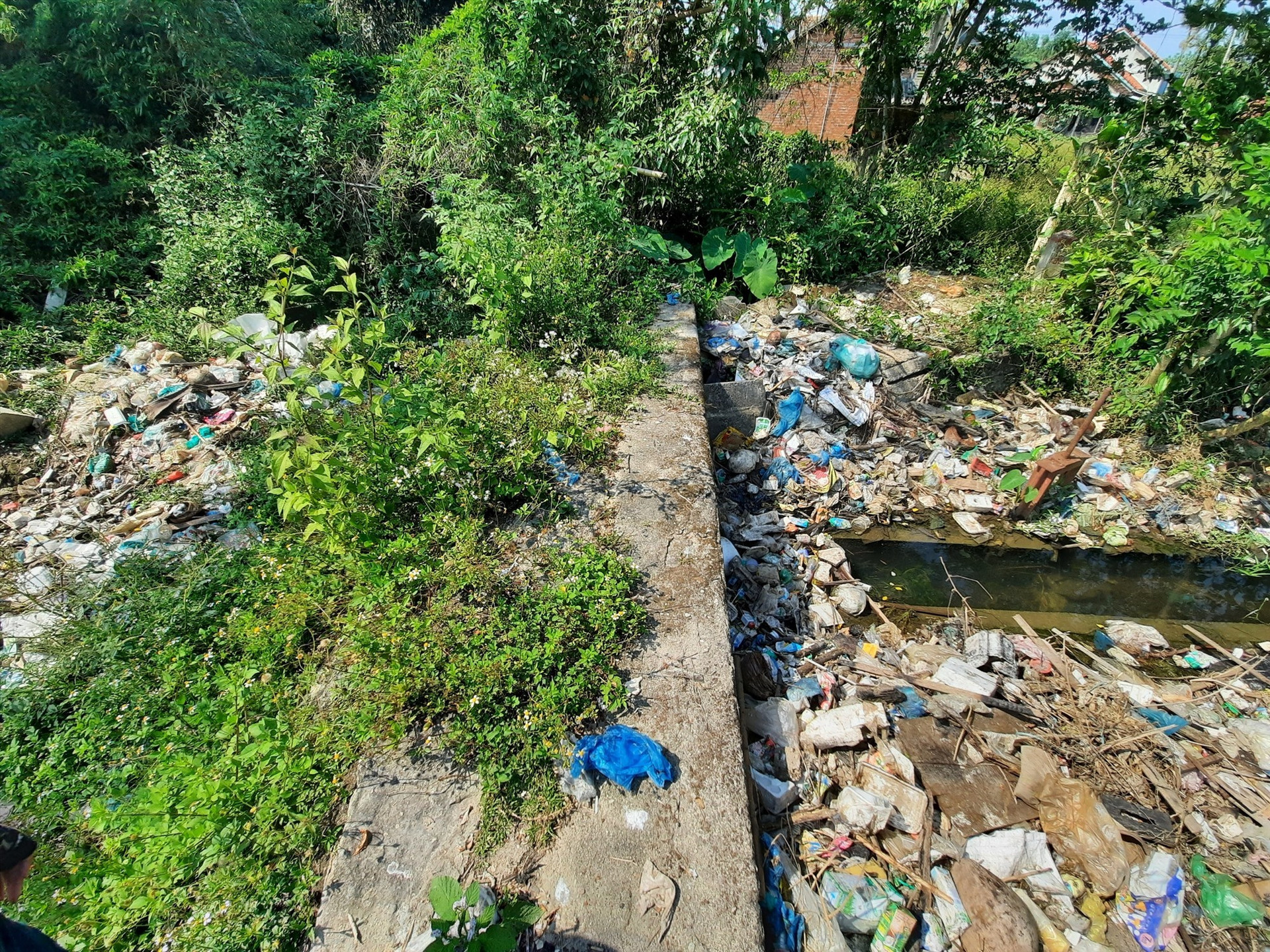 Toàn bộ rác thải, xác động vật chết mà người dân sống dọc theo kênh N2 xả thải đều dồn ứ ngay tại cống tràn, gây ô nhiễm môi trường. Ảnh: H.Q