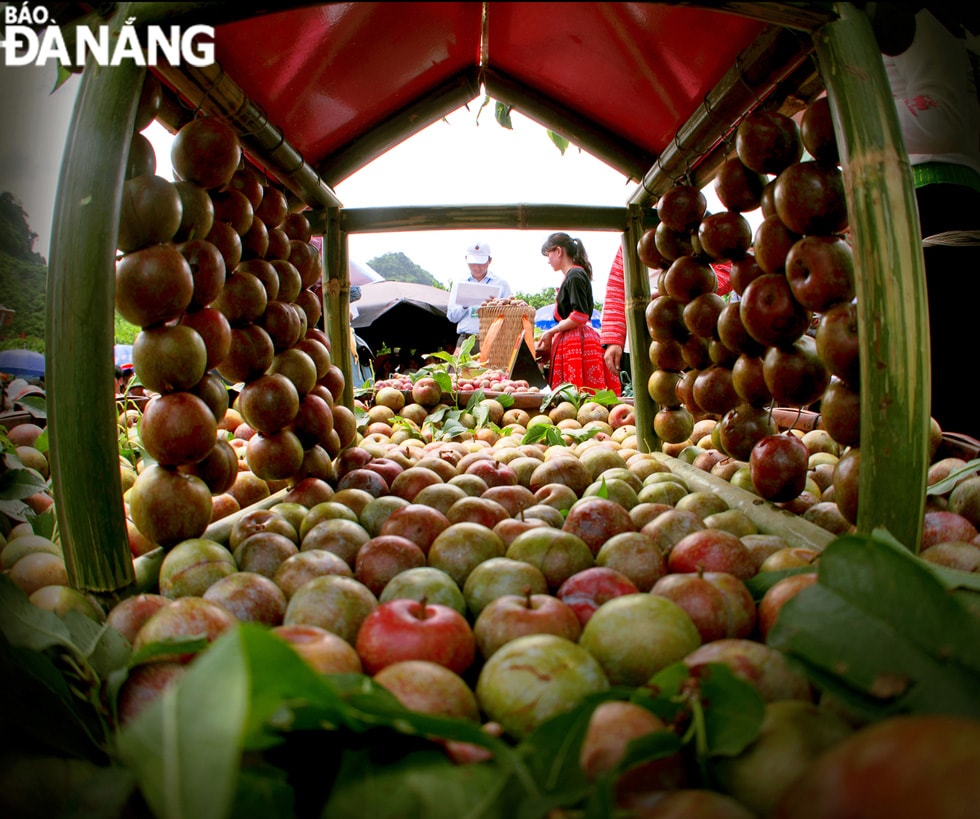 Ngôi nhà được làm từ những quả mận tươi ở huyện Mộc Châu, tỉnh Sơn La.
