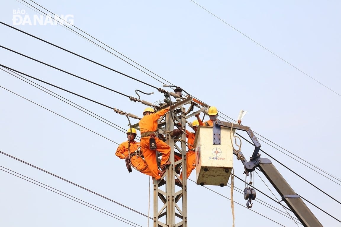 Ảnh do đơn vị cung cấp