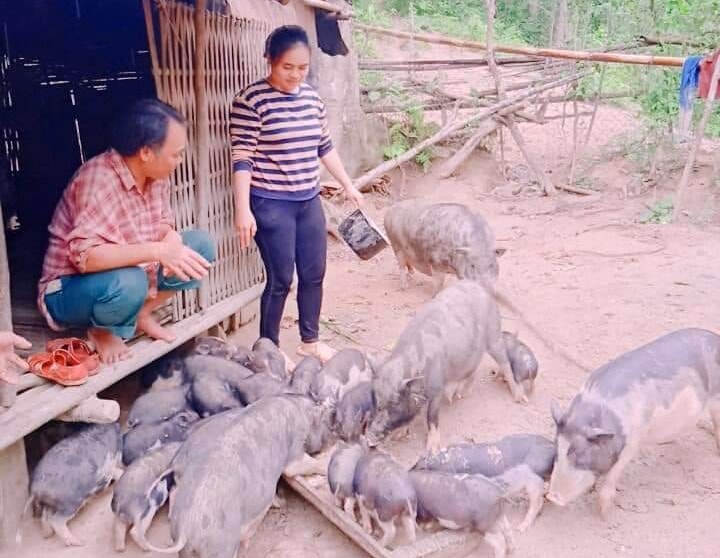 Chị Ating Thị Phương (thị trấn Prao) là gương thanh niên điển hình nuôi heo cỏ địa phương, cùng dịch vụ chăm sóc thú y. Ảnh: KK