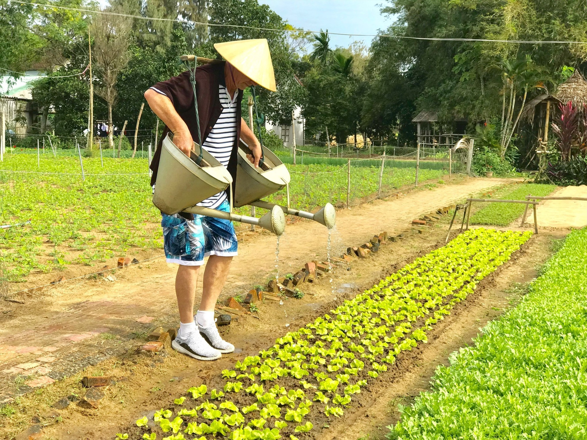 A foreign tourist on a farm in Quang Nam