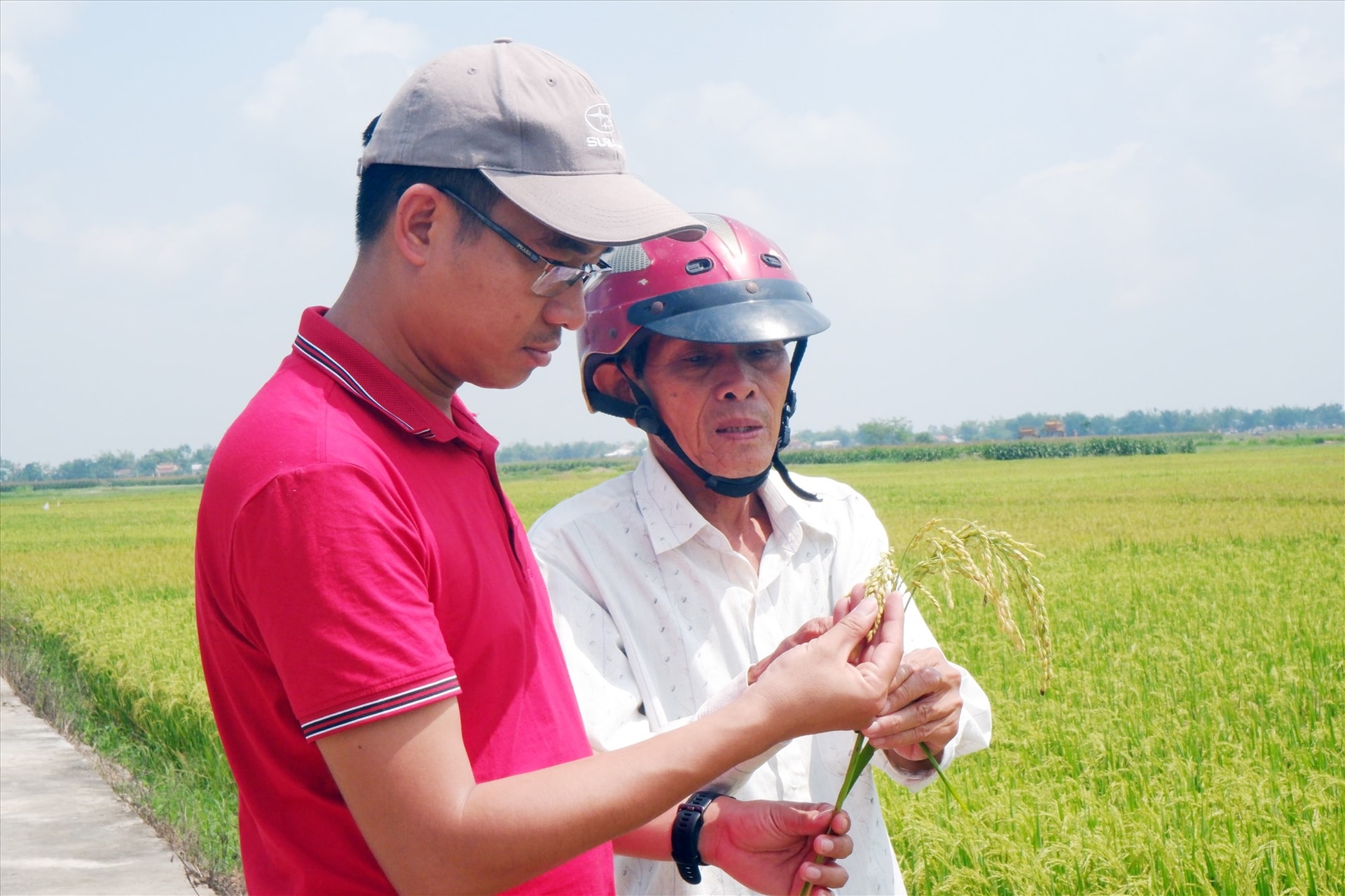 Gò Nổi - một vùng địa linh đang bắt đầu với những cuộc phát triển mới, từ chính lớp người trẻ của làng. Ảnh: HIỀN TUẤN