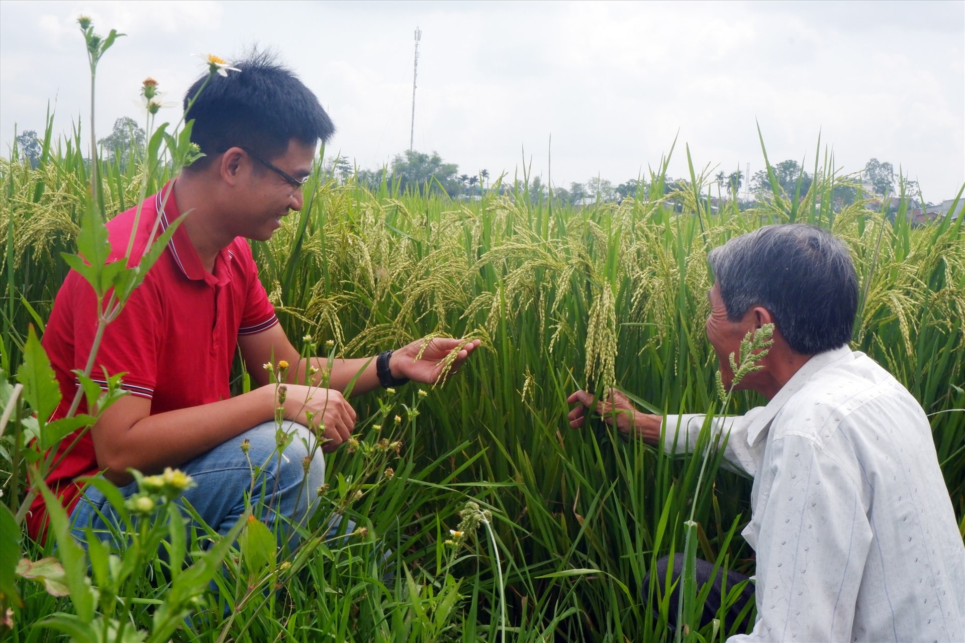 Sự kết nối giữa người trẻ và già sẽ tạo nên sức bật cho vùng quê Gò Nổi.Ảnh: HIỀN TUẤN