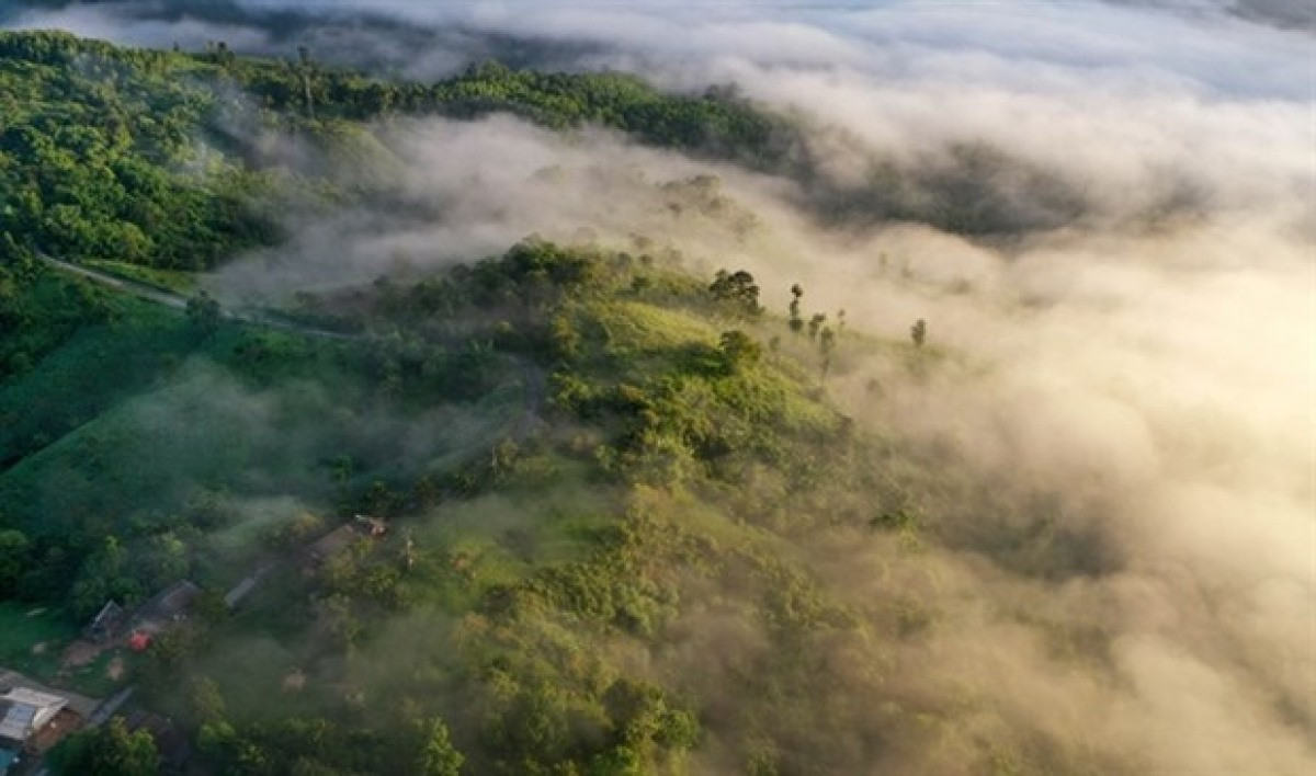 The forest over the mountainous district of Pa Nang, Quang Tri province, central Vietnam