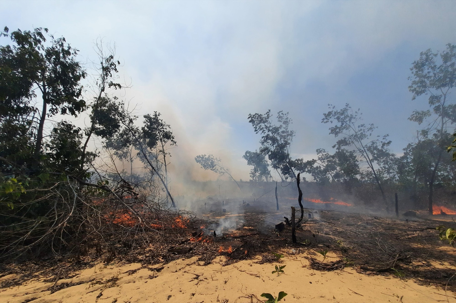 Cánh rừng trồng tại thôn Bình Tịnh, xã Bình Minh vẫn đang cháy rất lớn. Ảnh: H.Q