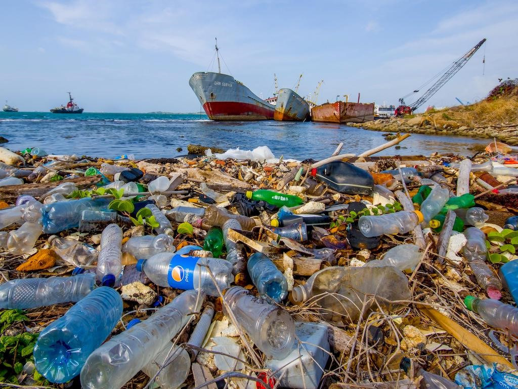 Ô nhiễm nhựa là nguyên nhân gây ra thiệt hại cho gần 1 triệu con chim và 10.000 động vật biển hàng năm. Ảnh: Shutterstock