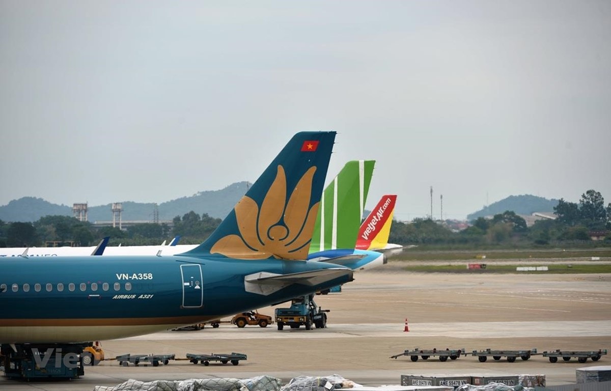 Máy bay của các hãng hàng không Việt Nam. (Ảnh: CTV/Vietnam+)