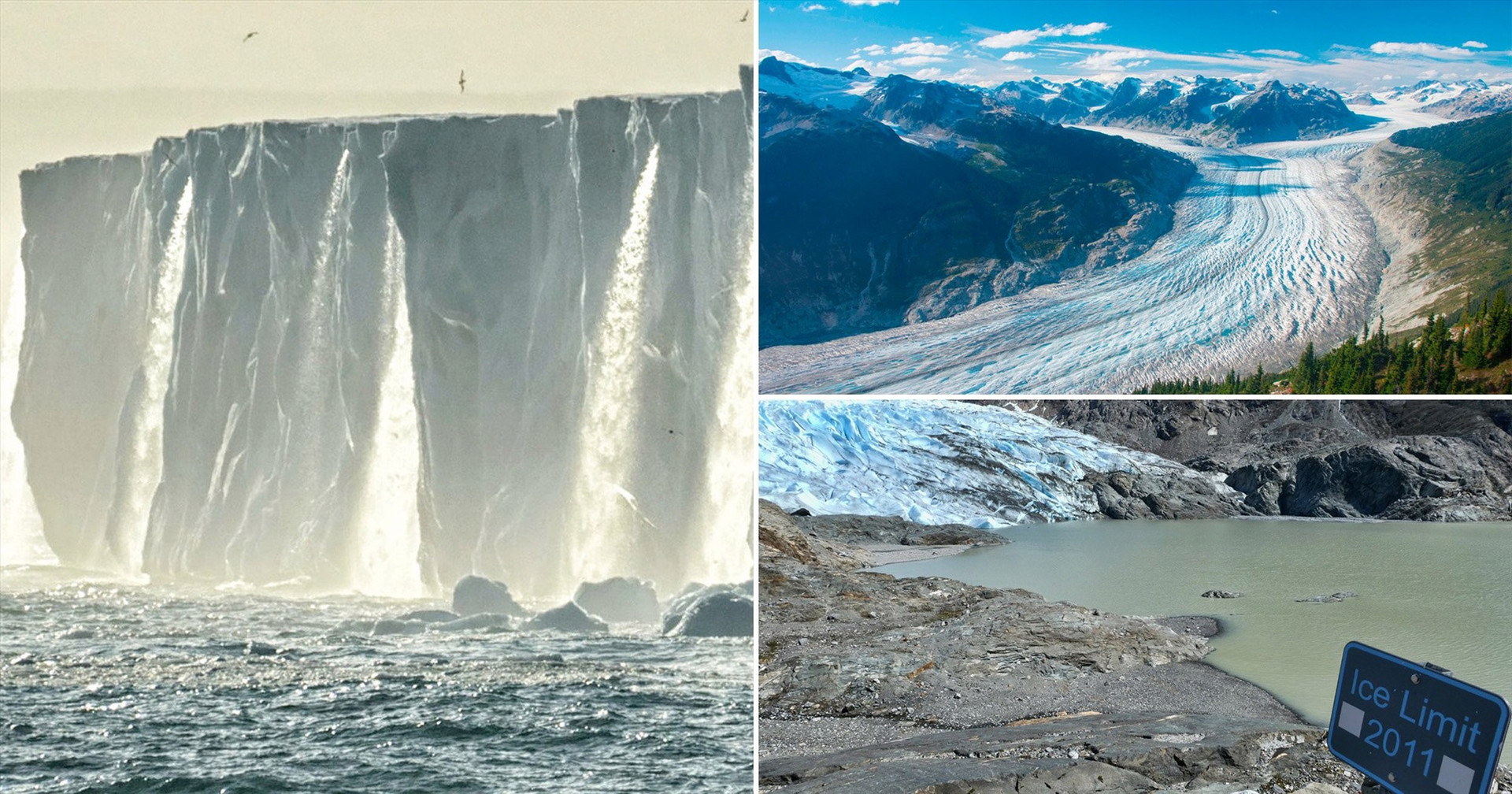 Thế giới có thể mất đi 10% sông băng vào năm 2020. Ảnh: laptrinhx.com
