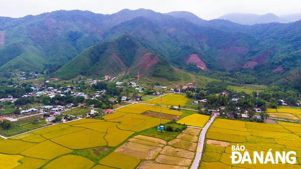 Khung cảnh thiên nhiên hòa quyện giữa núi rừng, đồng lúa và làng mạc ở Hòa Bắc.