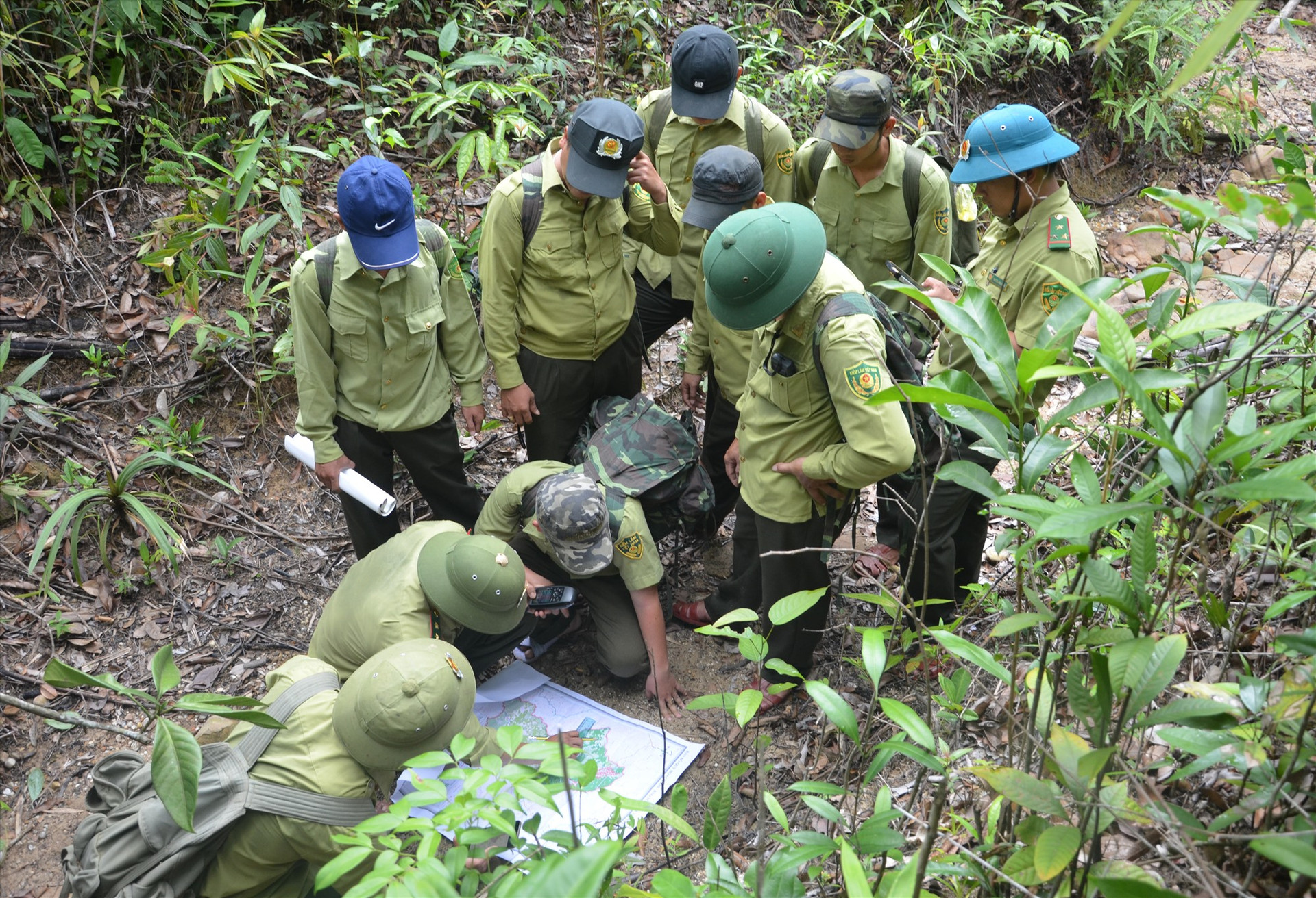 Một chuyến tuần tra rừng trong Khu bảo tồn loại và sinh cảnh voi Quảng Nam, tại xã Quế Lâm (Nông Sơn). Đây là vùng nằm trong kế hoạch hành động REDD+. Ảnh: H.P