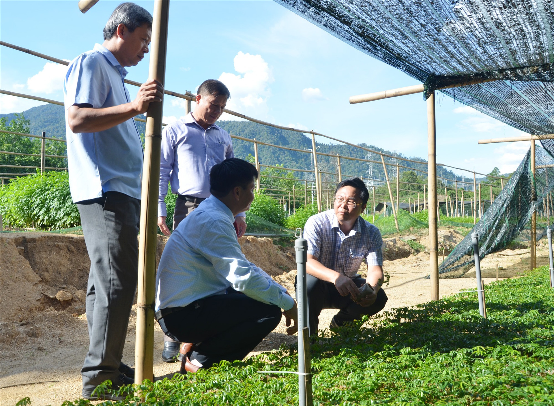 Chủ tịch UBND tỉnh Lê Trí Thanh và Phó Chủ tịch UBND tỉnh Hồ Quang Bửu kiểm tra vườn ươm cây giống tại Vườn quốc gia Sông Thanh.Ảnh: H.P