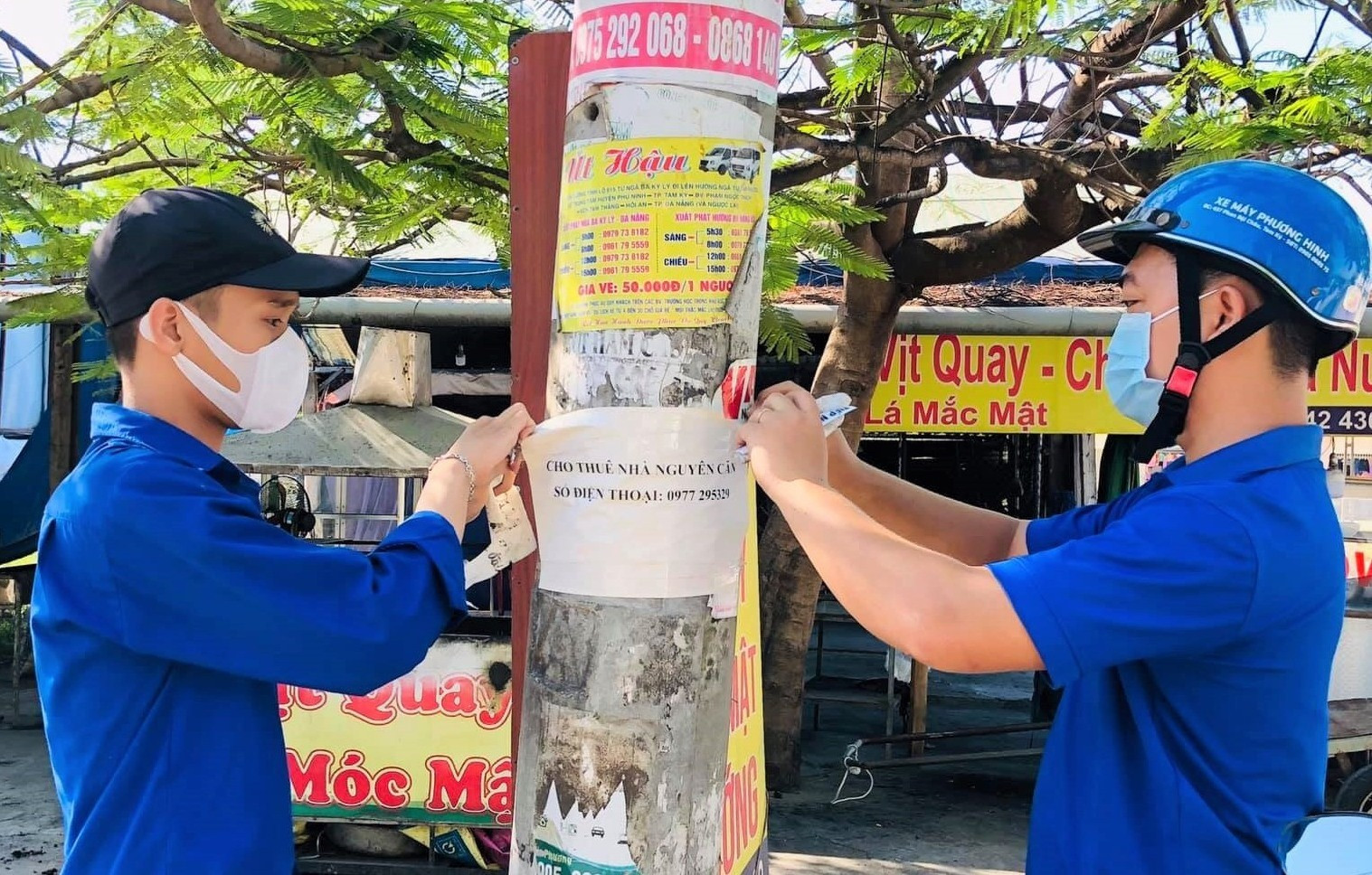 Tuổi trẻ thị trấn Phú Thịnh (Phú Ninh) bóc dỡ quảng cáo sai quy định. Ảnh: CTV