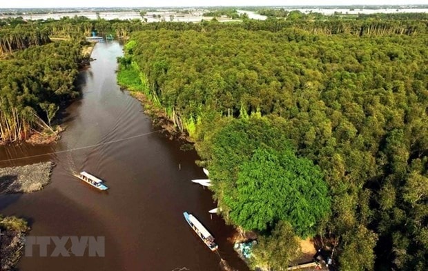 Vietnam is preserving Mekong Delta’s ecosystem. (Photo: VNA)