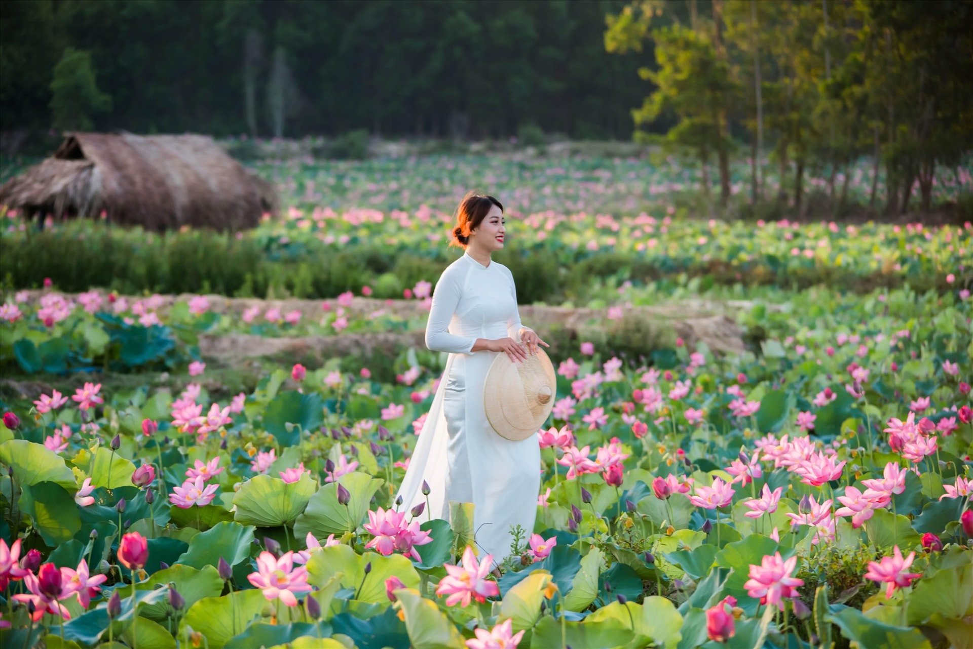 Lotus seeds are sown after the Lunar New Year Festival and harvested in July.