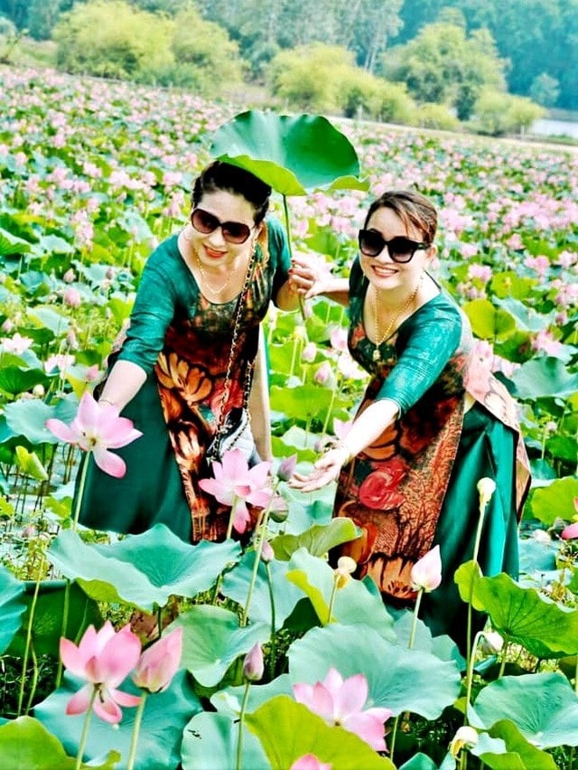 All visitors going there want to take photos with blooming lotuses.