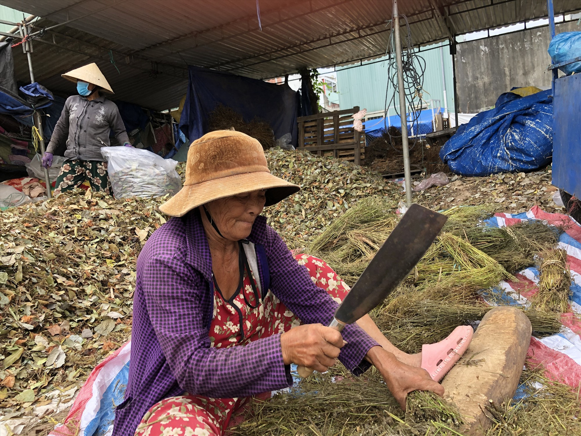 Bà Nguyễn Thị Phiên tranh thủ kiếm thêm thu nhập từ việc chặt, xếp lá mùng 5. Ảnh: KL