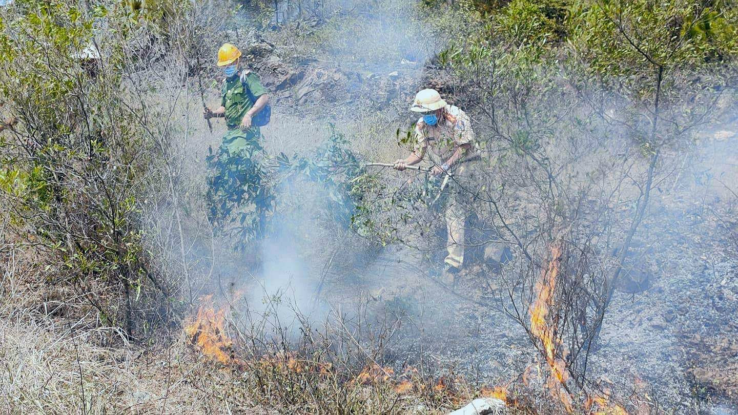 Lực lượng chức năng tham gia dập lửa trong vụ cháy rừng ở xã Bình Nam (Thăng Bình). Ảnh: T.H.