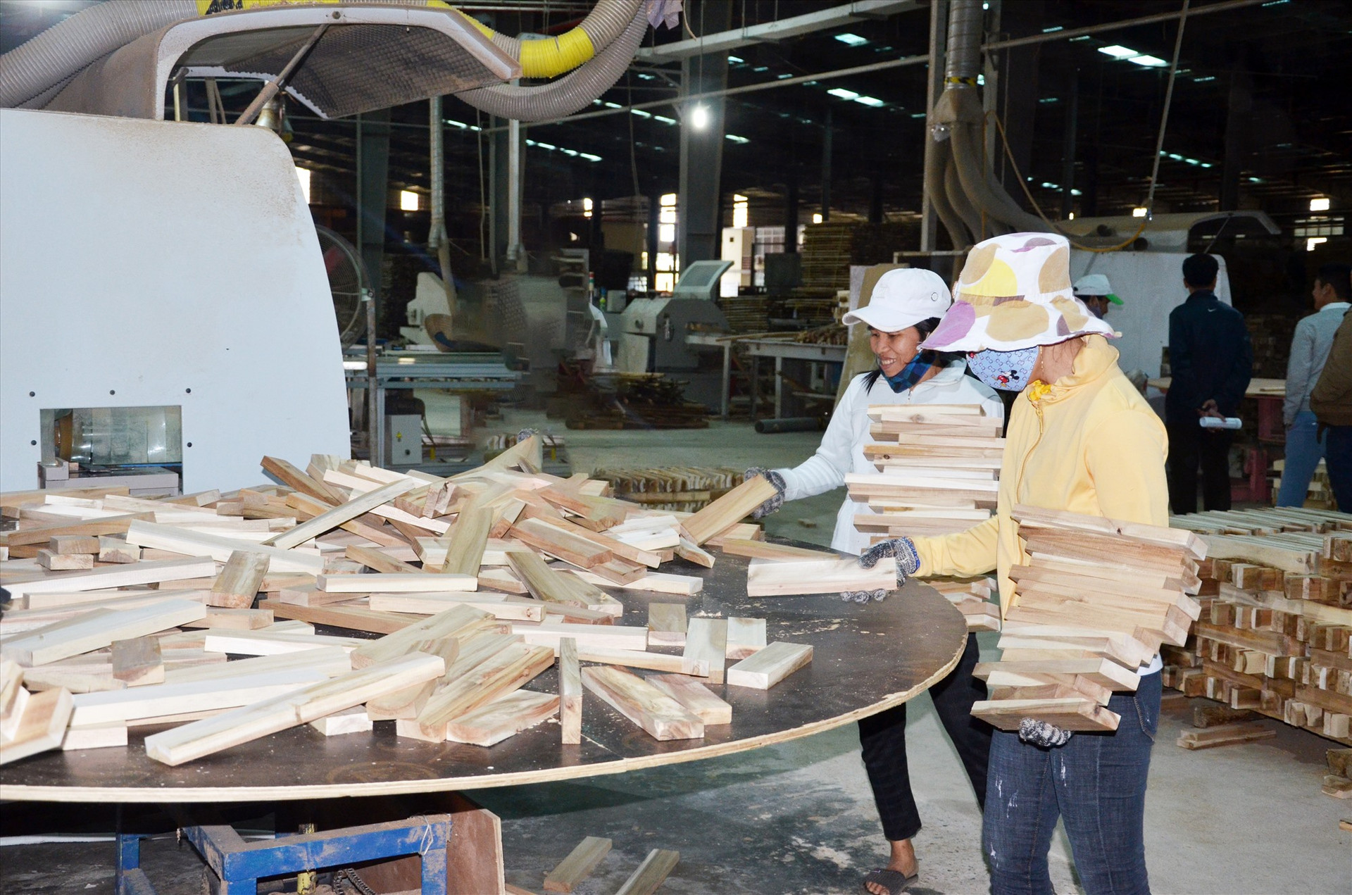 Phát triển mạnh vùng nguyên liệu để đáp ứng nhu cầu chế biến gỗ cho các nhà máy công nghiệp. Ảnh: H.P