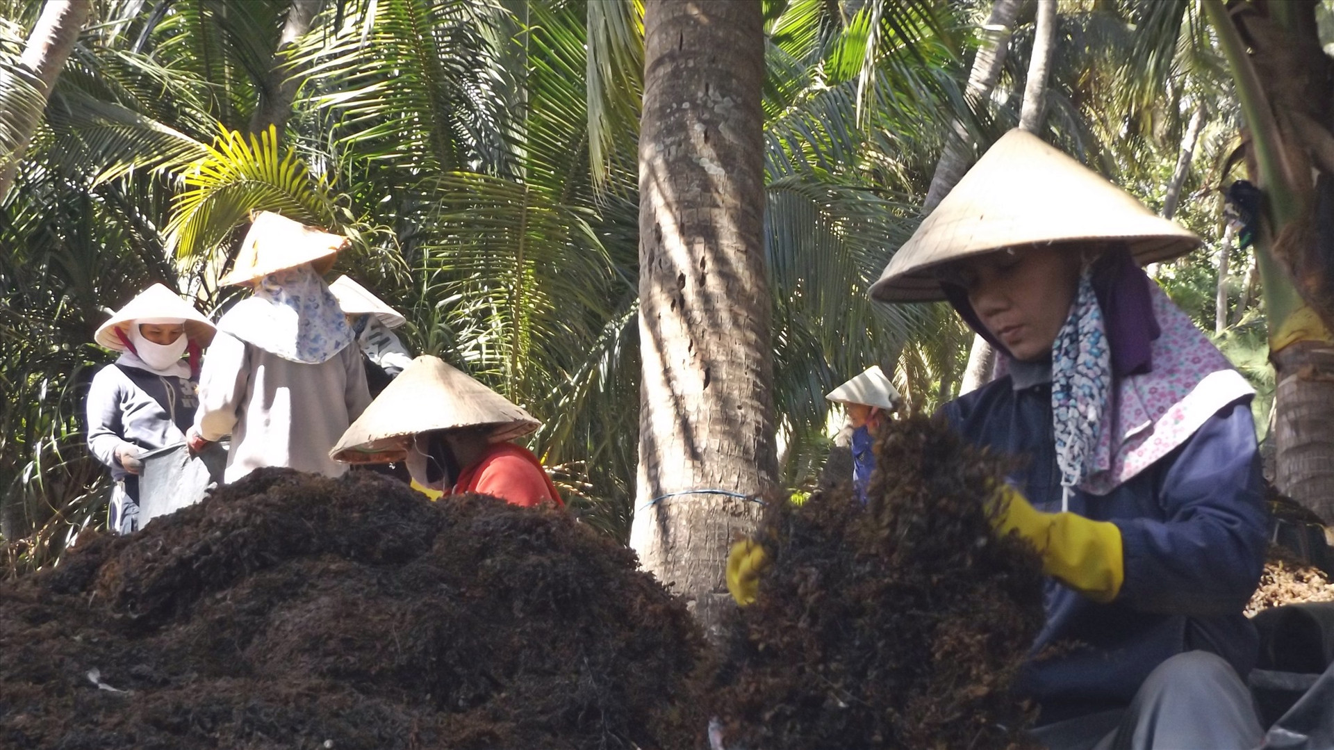 Nhiều phụ nữ thôn Thuận An có được sinh kế bền vững từ vốn vay dành cho hội viên khu vực bảo tồn rạn san hô Tam Hải. Ảnh: Đ.Y