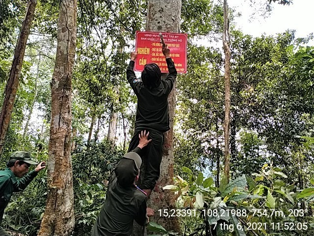 Bảo vệ rừng chuyên trách đóng biển báo cấm phá rừng tại thôn 2, xã Trà Giác (Bắc Trà My). Ảnh: V.B