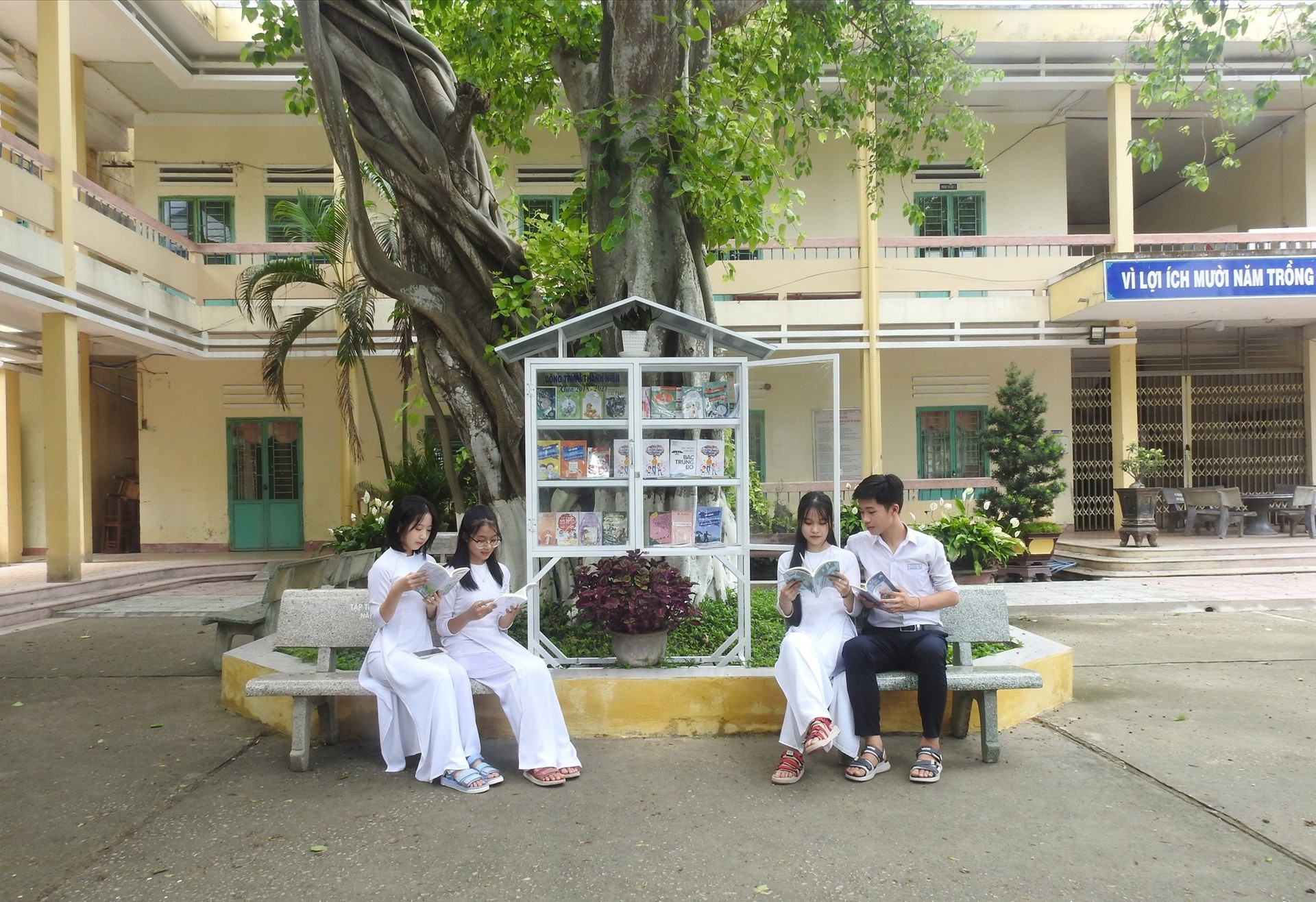 Học sinh Trường THPT Nguyễn Duy Hiệu đọc sách bên “cây sách” sân trường. Ảnh: K.V