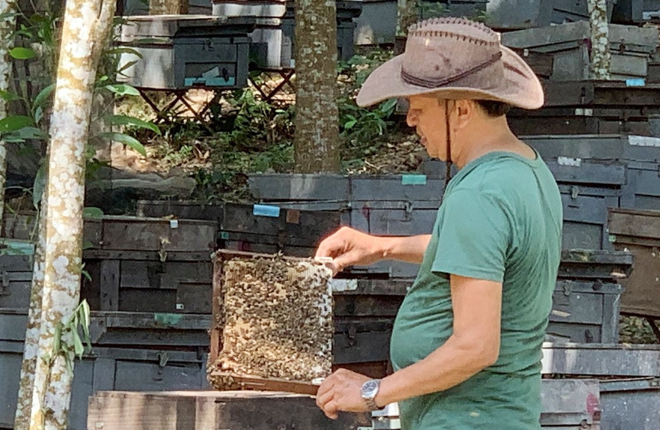 Hình ông Hà với trang trại nuôi ong lấy mật.