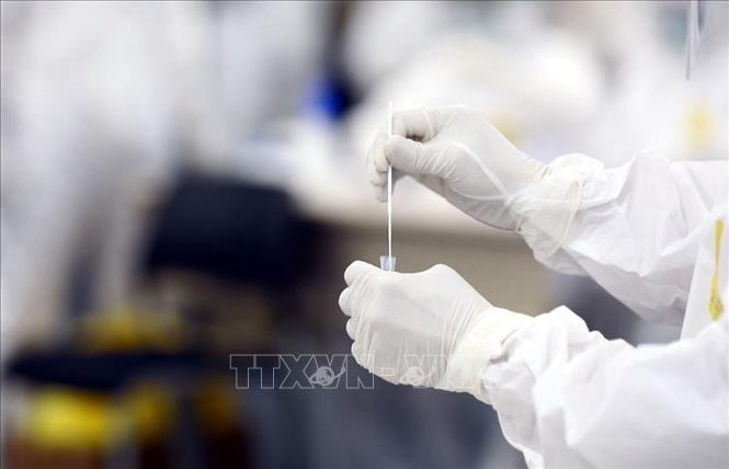 Tăng cường công tác xét nghiệm để truy vết người nhiễm SARS-CoV-2. Ảnh: TTXVN