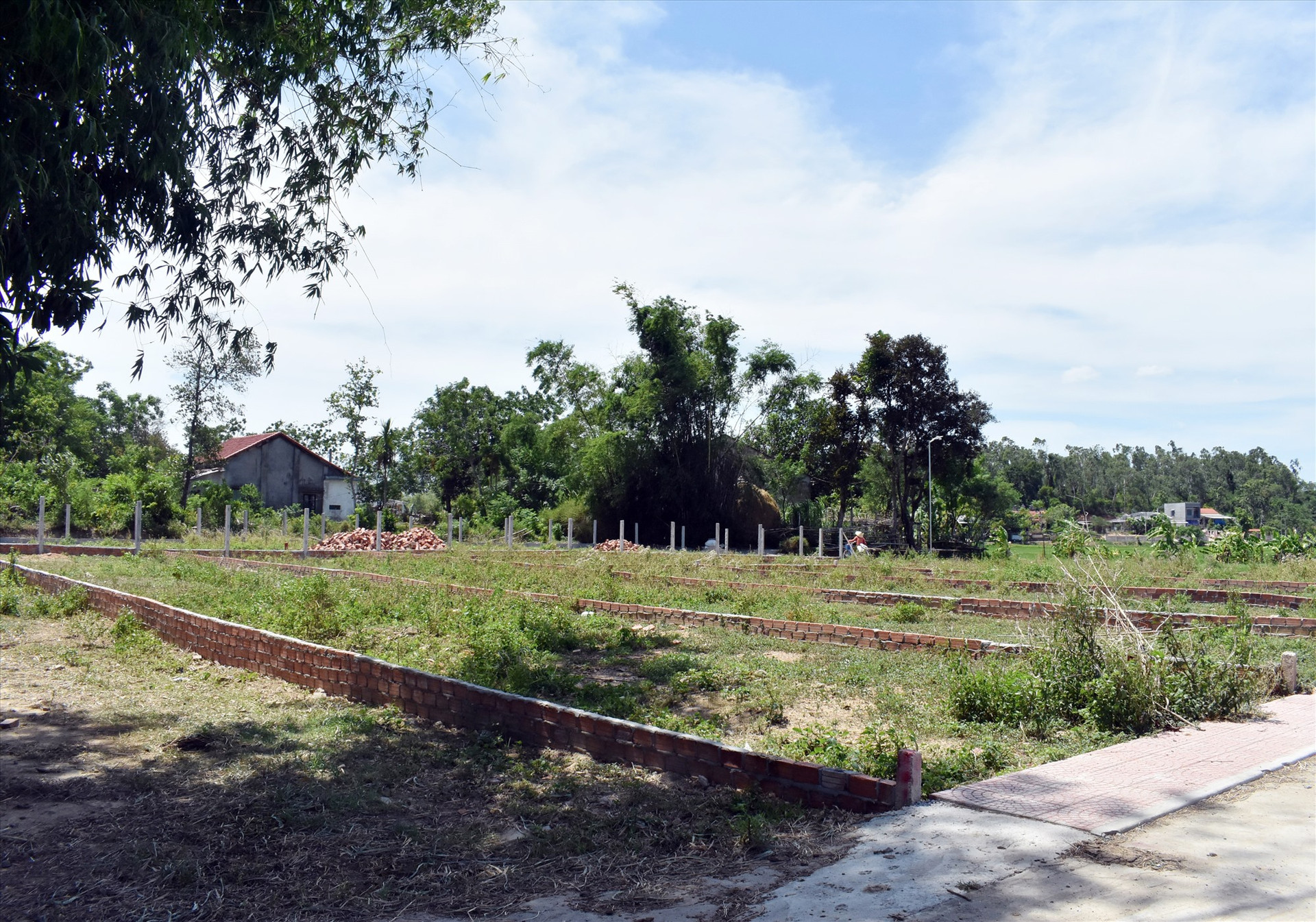 Nhiều khu đất ở Điện Tiến dù nằm ở vị trí heo hút vẫn được chia lô bán nền. Ảnh V.L