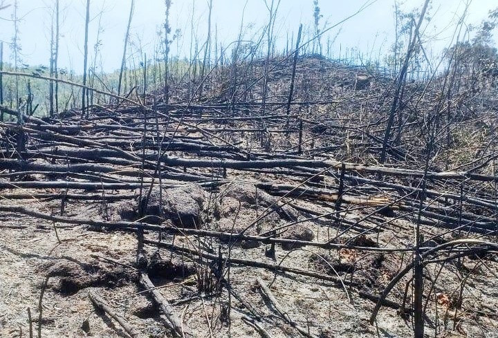 Khoảng 10 ha rừng bị cháy tại Tiểu khu 558, thôn 2, xã Tiên Ngọc và Tiểu khu 553 xã Tiên Lãnh