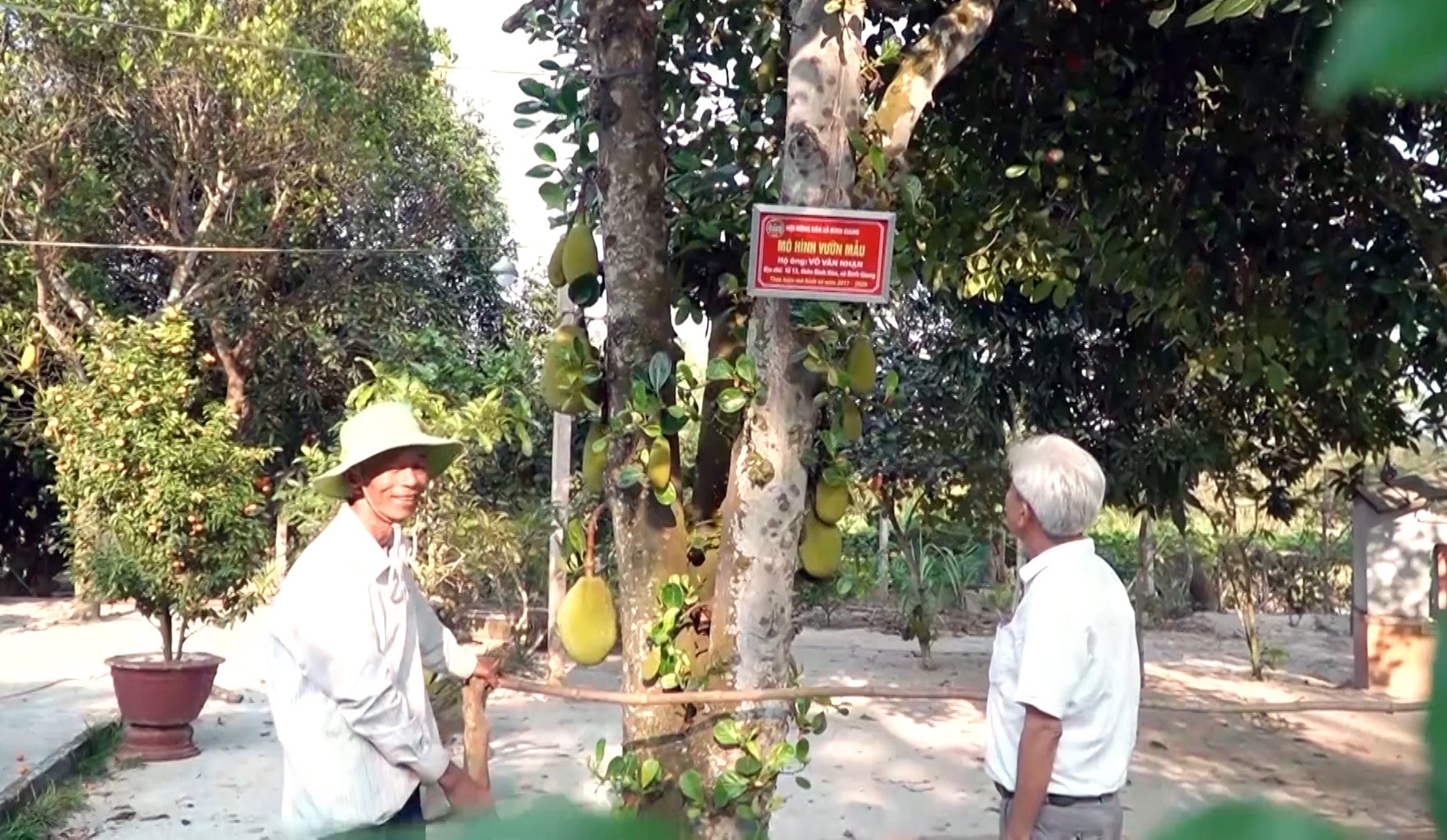 Được Nhà nước hỗ trợ, người dân đầu tư làm vườn mẫu cho hiệu quả kinh tế cao. Ảnh: MINH TÂN