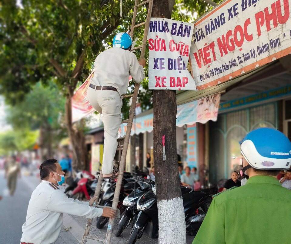 Tổ trật tự đô thị phường Hòa Hương (TP.Tam Kỳ) tháo dỡ biển quảng cáo treo trên cây xanh đô thị. Ảnh: T.T