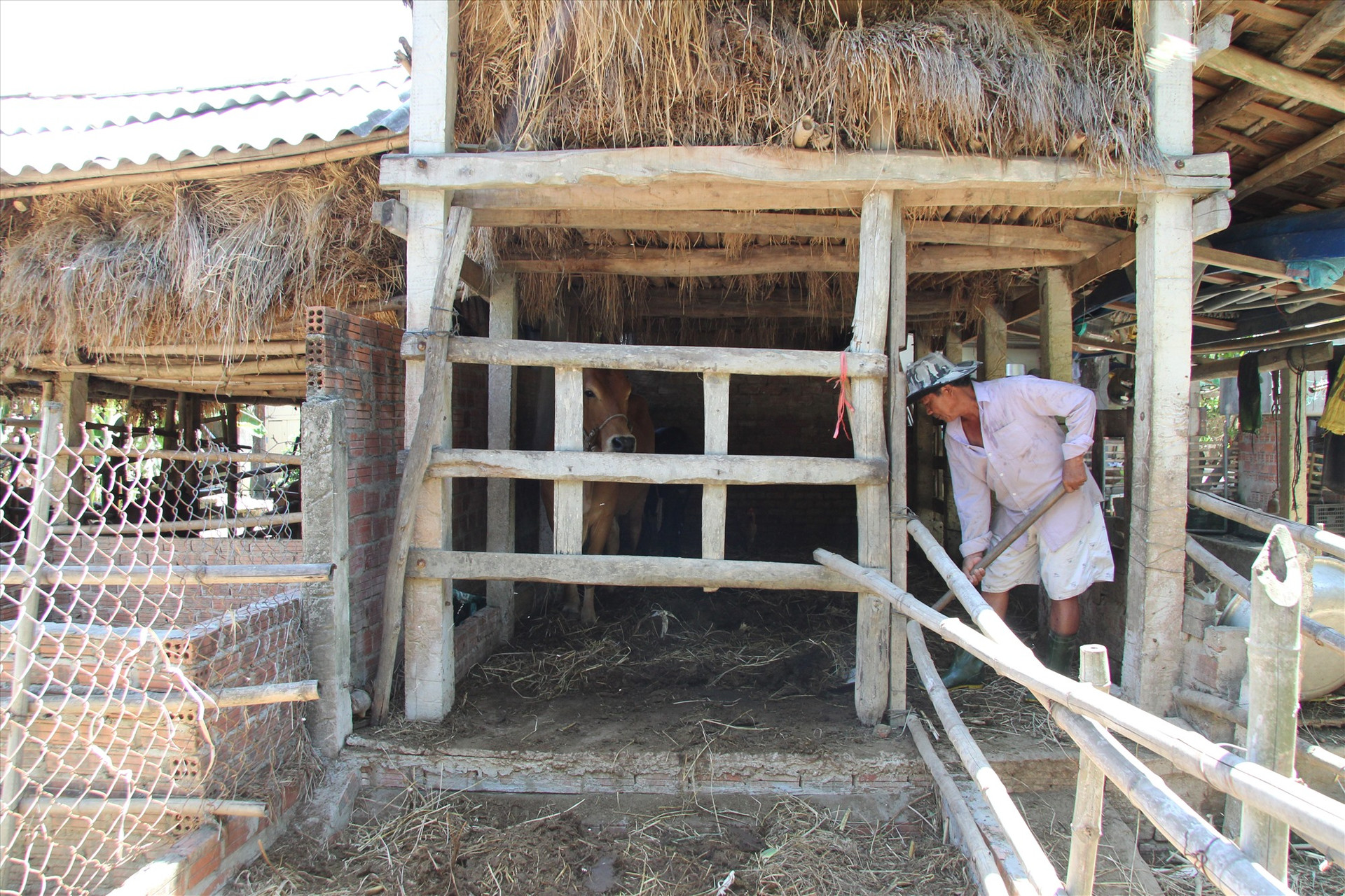 Gia đình ông Ngô Văn Chức đầu tư xây lắp bể bioga để đảm bảo vệ sinh trong chăn nuôi. Ảnh: H.Q