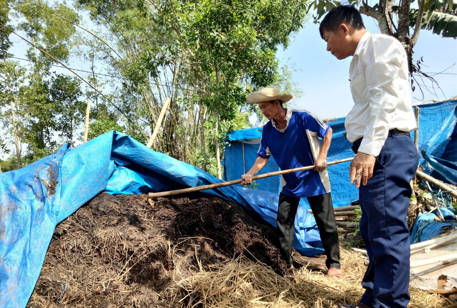 Từ phế thải nấm rơm, Hội Nông dân xã Bình Trị và Ban Nông nghiệp xã đã làm thử nghiệm phân vi sinh hữu cơ tại Lê Văn Lan (thôn Việt Sơn).