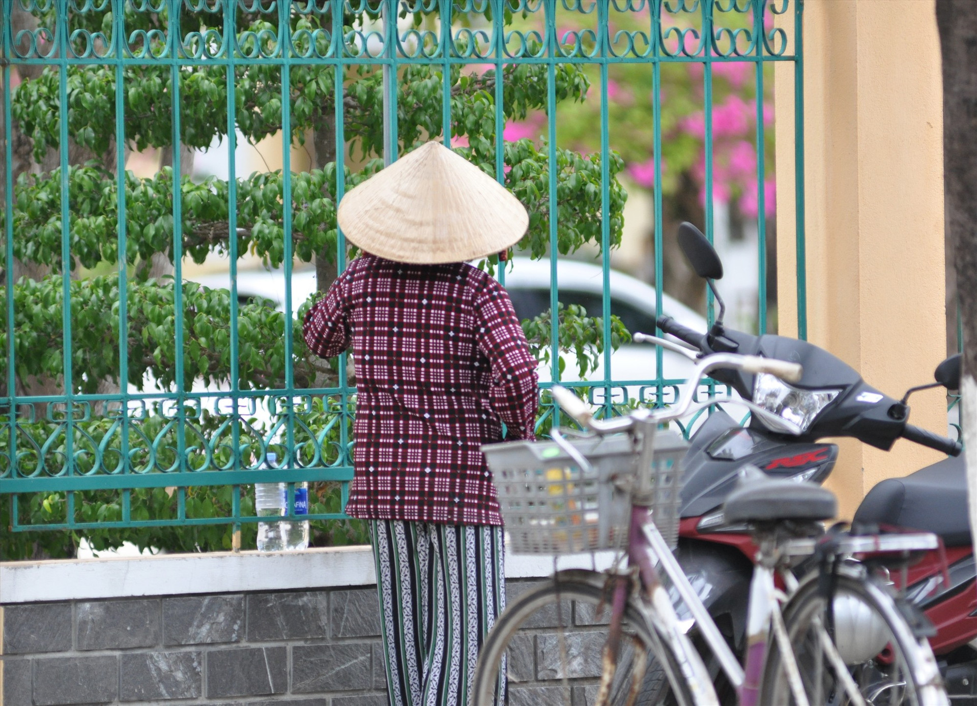 Con thi âu lo một, mẹ âu lo mười. Mẹ đi xe đạp đến đứng ngoài hàng rào ngóng con đang thi tại điểm thi Trường THPT Phan Bội Châu (Tam Kỳ). Ảnh: X.P