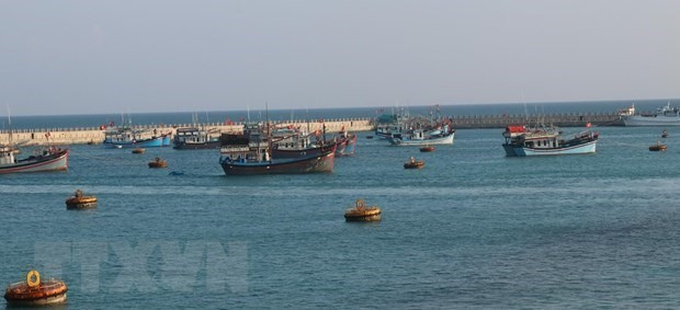 Dozens of fishing vessels dock in the shelter area of Vietnam's Da Tay A Reef (Photo: VNA)