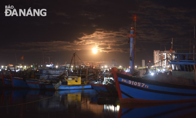 Hiện đang thời gian trăng sáng nên có nhiều tàu cá không ra khơi, neo đậu ở âu thuyền Thọ Quang. Ảnh: HOÀNG HIỆP