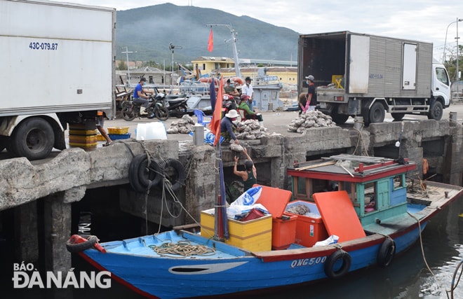 Ngư dân khẩn trương bốc dỡ lên cảng, bán nhanh cá để khẩn trương rời cảng cá Thọ Quang. Ảnh: HOÀNG HIỆP 