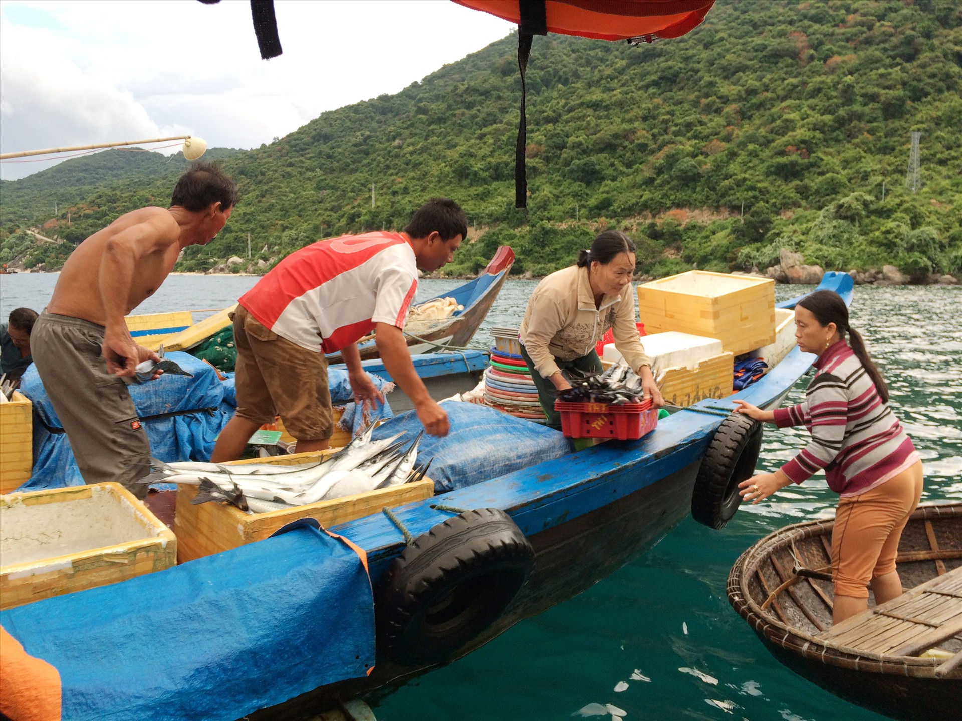 Cần khai thác hợp lý để duy trì nguồn lợi thủy sản trong Khu bảo tồn biển Cù Lao Chàm. Ảnh: Q.Hải
