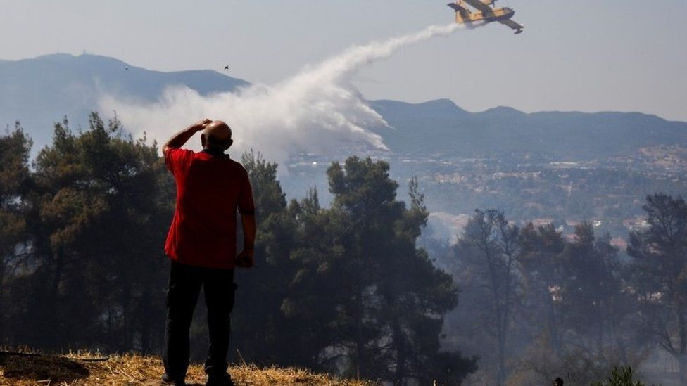 Dùng máy bay chở nước dập dắt đám cháy rừng tại Hy Lạp. Ảnh: AFP